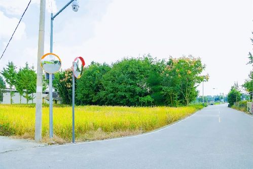 成都郫都：交通“微治理”守护市民安心出行