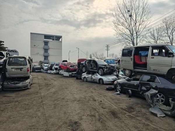 在一家正规报废汽车拆解利用企业,待报废车辆摆放在厂区。新华社记者王阳 摄