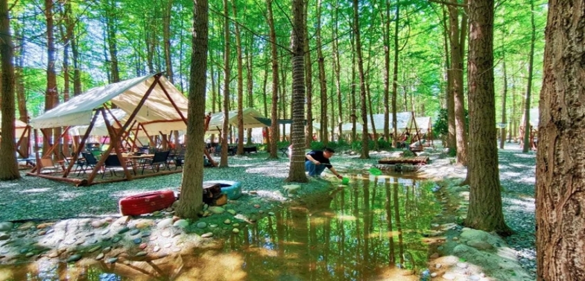 成都温江区：闲置苗圃长出的“林下经济”